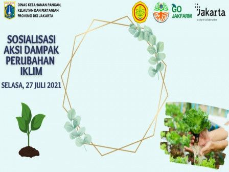 podiumnews.com- Pelaku Urban Farming Berkontribusi Atasi Dampak Perubahan Iklim